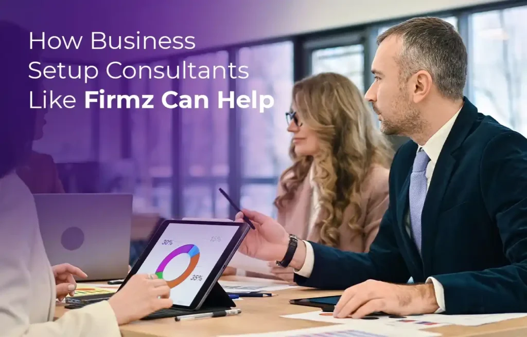 How Business Setup Consultants Like Firmz Can Help