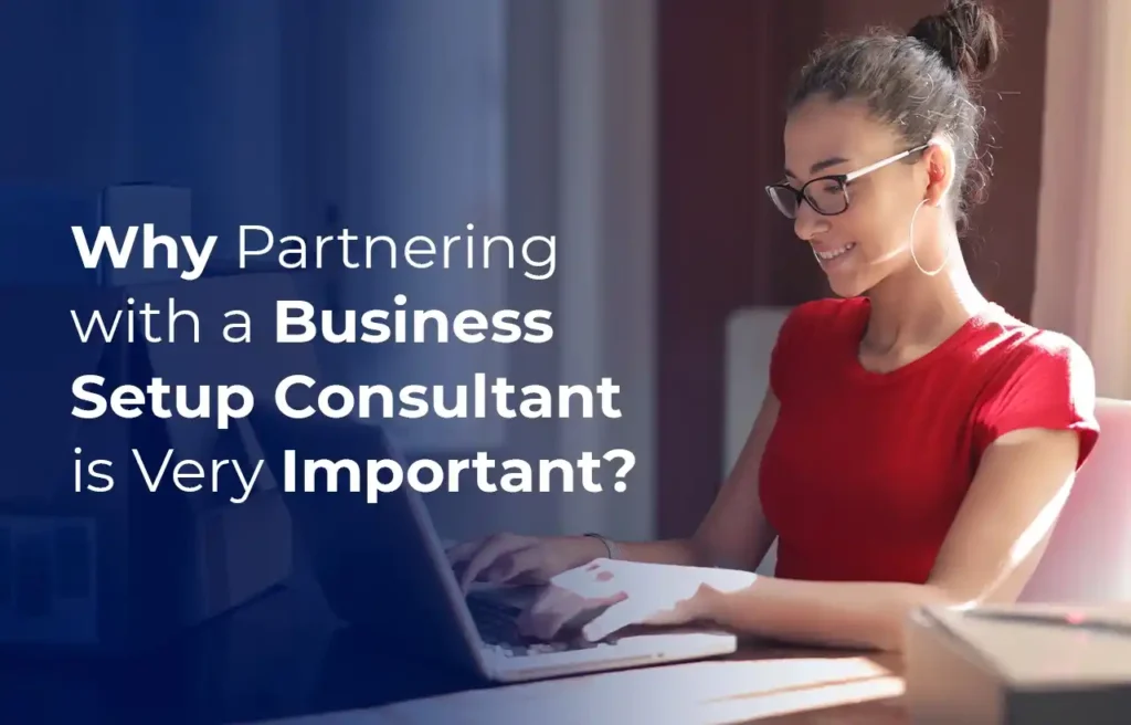 Why Partnering with a Business Setup Consultant is Very Important