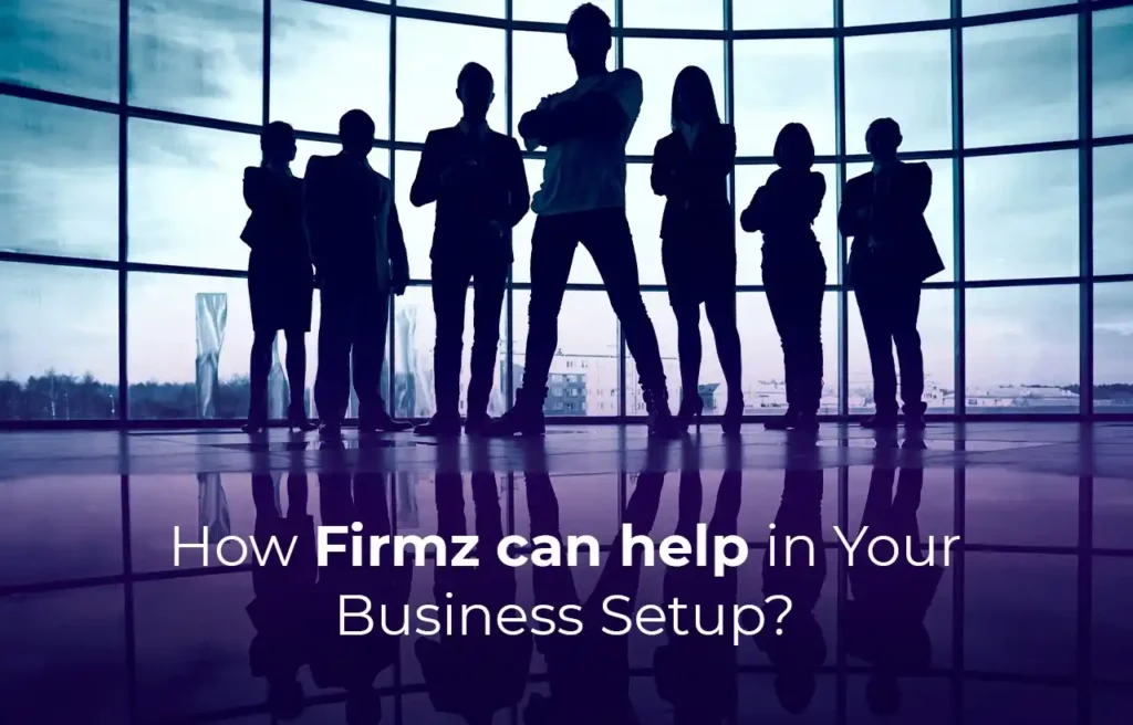 How Firmz can help in Your Business Setup