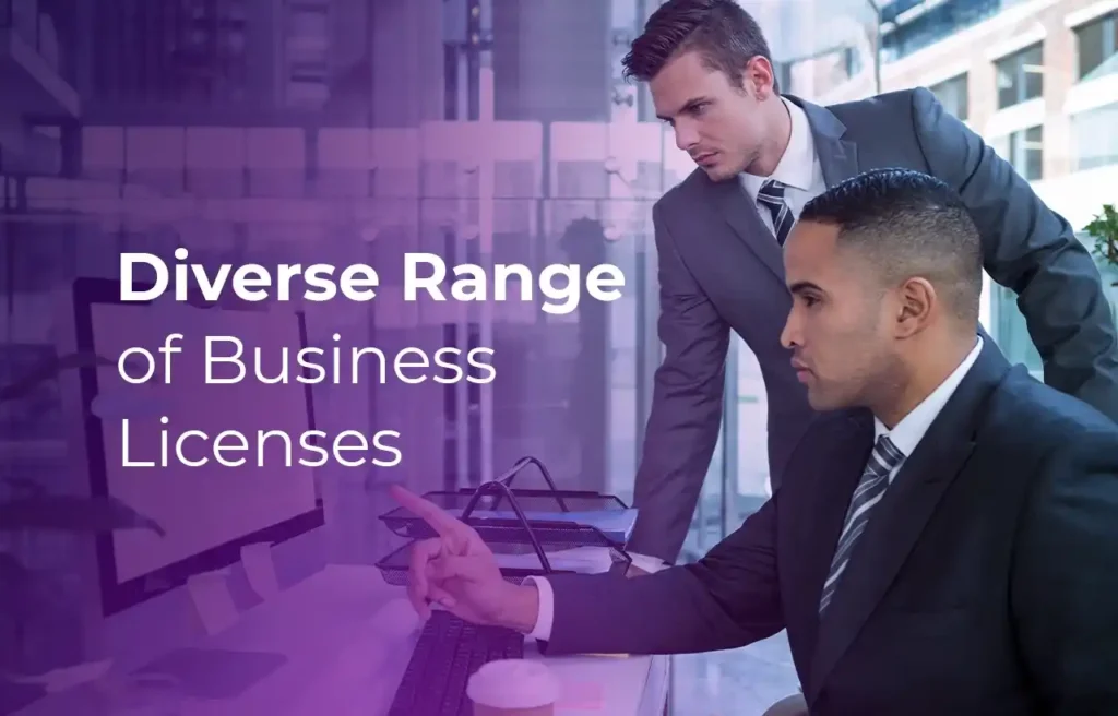 Business Setup in Dubai Diverse Range of Business Licenses